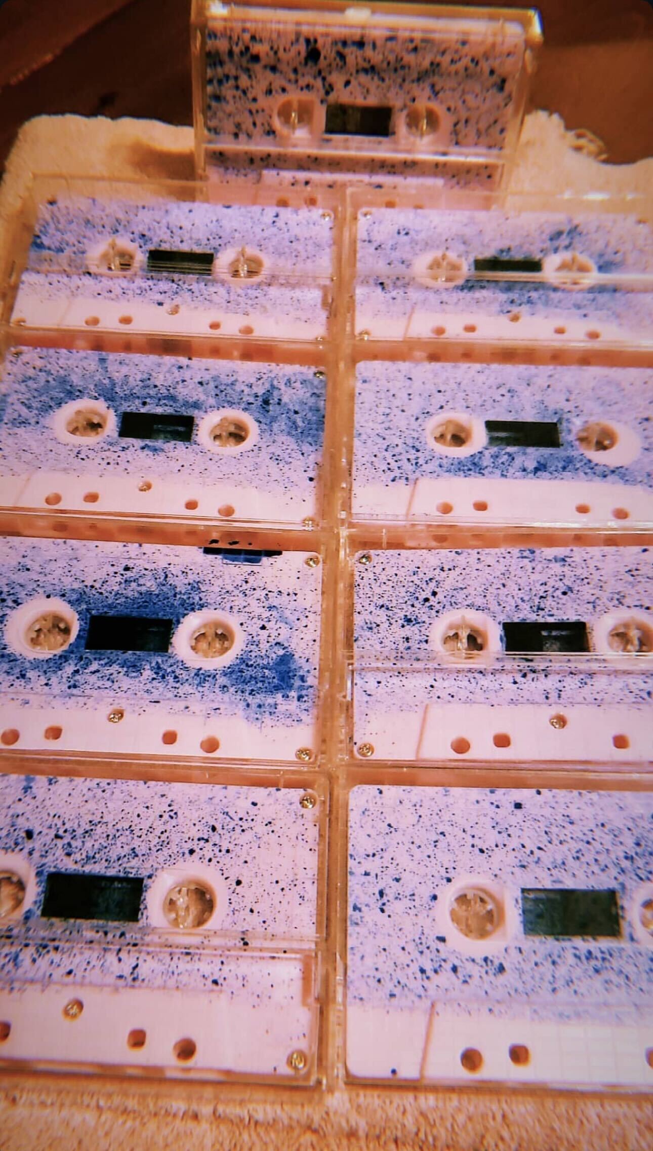 LYKE - ワーム